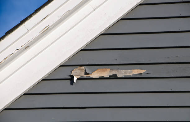 Best Residential Junk Removal  in Twin Lake, MI